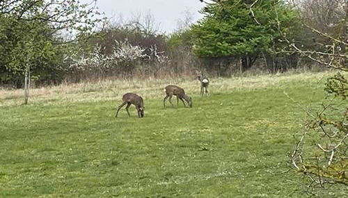 Mill Lodge - Photo 4