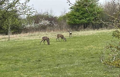 Mill Lodge - Photo 4