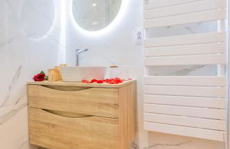 Studio Toulouse Capitole La Voute Rose - Photo 33