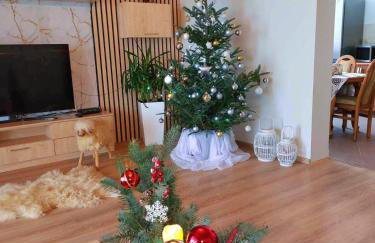 Dom Tatrzański Widok - Foto 1