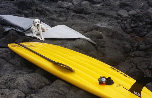 Studio 1 Hab - Foto 17