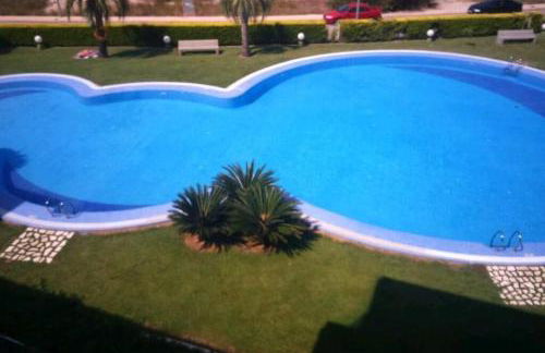 Paradise - Oliva Nova playa MET&GOLF - Photo 28