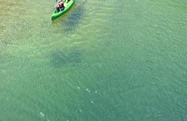 Apartamentos Rurales El Mirador de San Juan - Foto 49