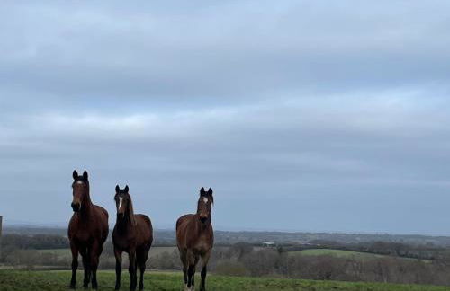 Stunning rural Barn Conversion - Photo 20