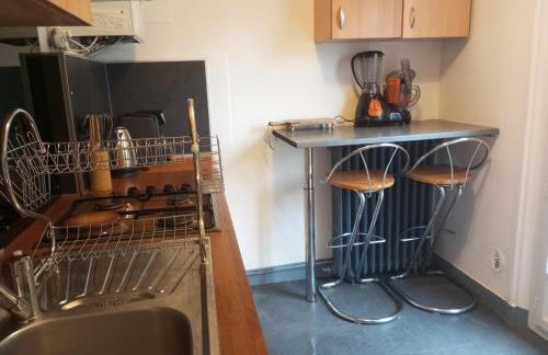 Appartement hyper centre 1 lorient Jardin clos - Foto 12