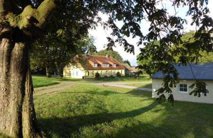 Gut-Rattelvitz-Parterre-A-hochwertig-Sauna-Kamin-eTankstelle-Spielscheune-15-000qm-Parkland - Foto 21