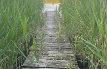 Borowe Apartamenty - Photo 57