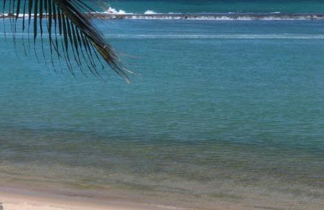 Casa Conchas - Aluguel por Temporada Barra de São Miguel - Foto 40