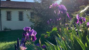 Agriturismo Arcobaleno Assisi - Photo 2, Garden