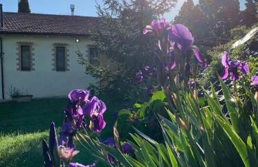 Agriturismo Arcobaleno Assisi - Photo 2