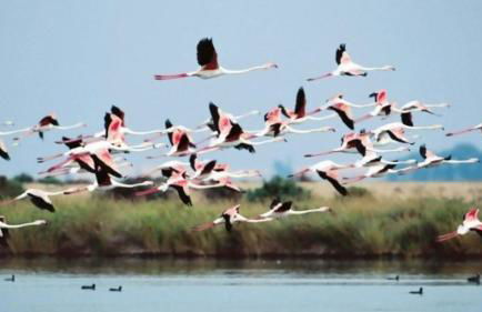 Chalet en la misma playa - Foto 19