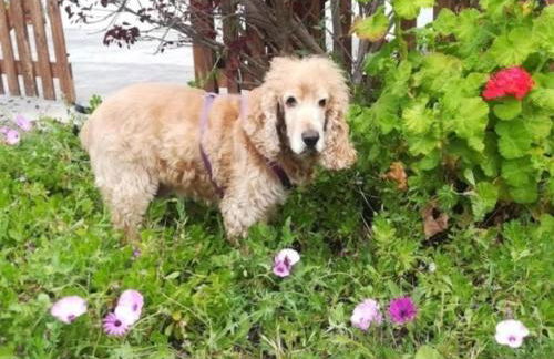 Casa El Sitio - Foto 35