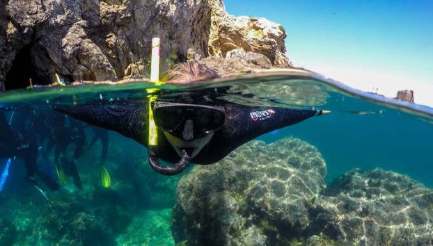 Vue panoramique sous-marine des îles Medes