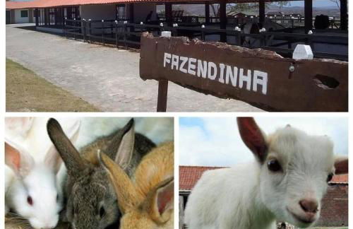 Flat no Condomínio Monte Castelo, Gravatá-PE - Foto 7