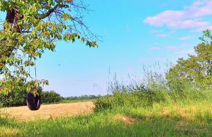 Zielony Zakątek - agroturystyka blisko morza - Foto 2