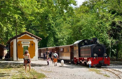 Milies Historic Chalet Pelion - Foto 64