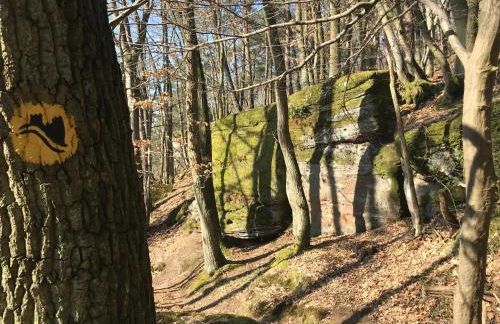 Burgstrasse Apartment Ost mit Garten und Sauna - Foto 37