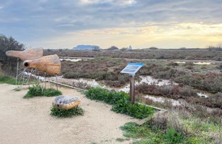 La Vela Estartit Rental - Foto 48