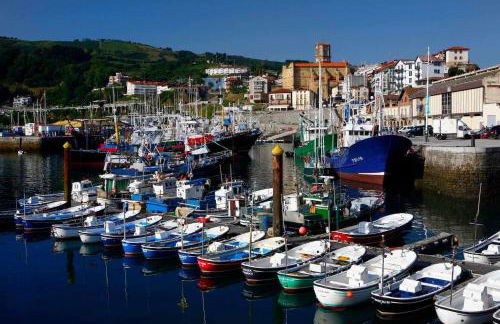 LUR Apartments Getaria - Foto 36