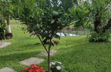 Cantinho da nona Nova Trento SC - Foto 7