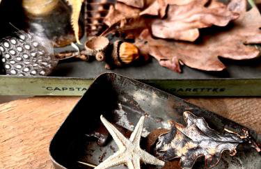 The Goose Garden - Foto 19