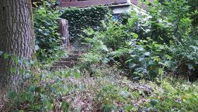 Ferienhaus am Edersee - Foto 5, Garden view