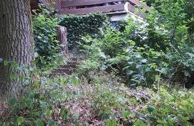 Ferienhaus am Edersee - Foto 5