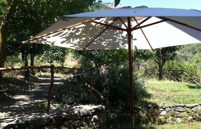 Gli Ulivi Agriturismo - Foto 65