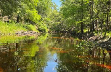 Home Away from Home - Foto 9