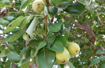 B&B Hestia's Hideaway - Foto 22