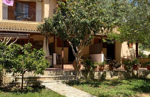 Oliveto e mare - Foto 38