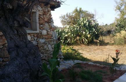 Agriturismo Tenuta La Siesta - Foto 6