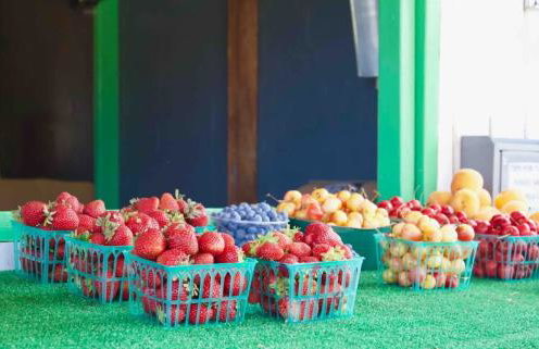 Hilltop Haven - Scenic Getaway Near Top Wineries - Foto 31