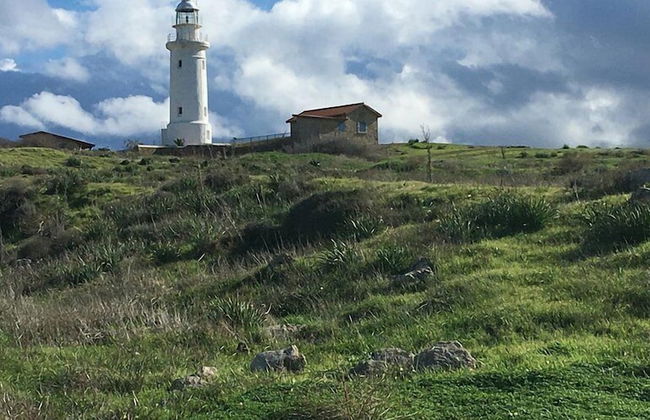 Apollonia Holiday Apartments - Foto 31