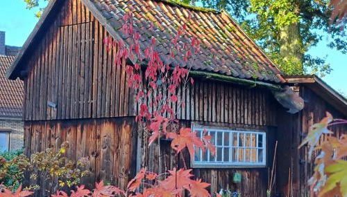 Ferienwohnung Am Speicher - Foto 2, Garden view