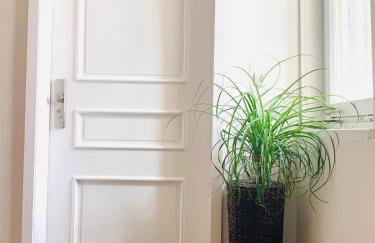 Altstadtdomizil Schwäbisch Hall - Foto 6