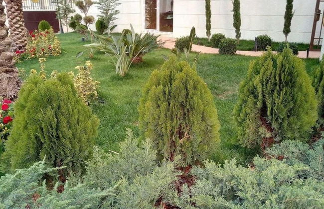 Elite Residency - Foto 18