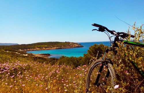 Kiteshomes - Foto 45