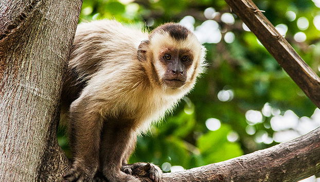 Biocentro Guembe - Excursión privada de día completo - Foto 2
