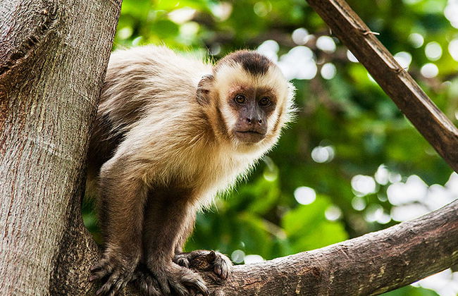 Biocentro Guembe - Excursión privada de día completo - Foto 2