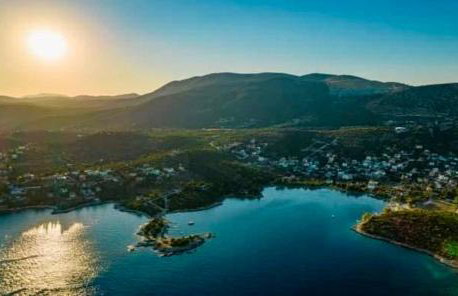 Alexander's - Foto 35