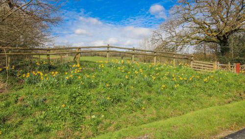 The Olde Cowshed - Foto 3
