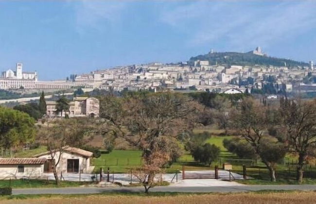 Il Granaio di Rossetti Elisabetta - Foto 11