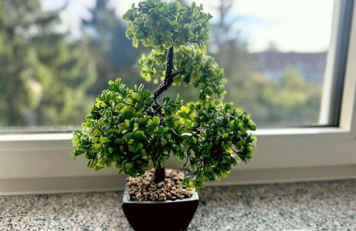 VAZ Apartments Corporate Living ca 15 Min Messe u HBf - Foto 7