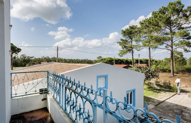 Pinhal da Praia em Melides - Foto 22