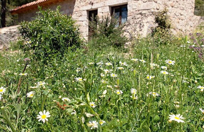 Huerto San Antonio - Foto 67