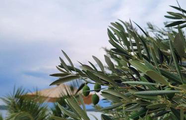 Apartman Milanko - Foto 28