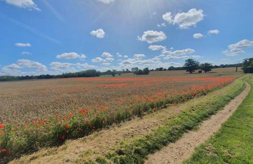Belle Vue Cottage - Foto 20