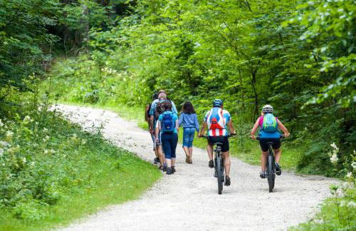 Montloubier - Photo 58