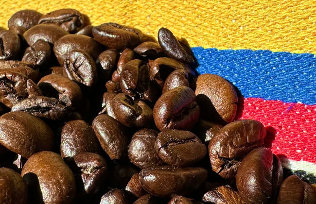 Tour del caffè a Medellín - Foto 12